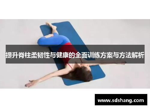 提升脊柱柔韧性与健康的全面训练方案与方法解析