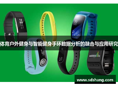 体育户外健身与智能健身手环数据分析的融合与应用研究