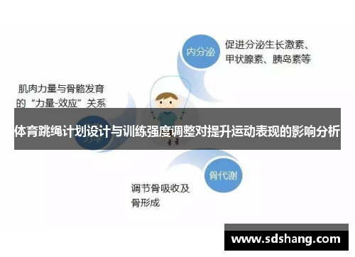 体育跳绳计划设计与训练强度调整对提升运动表现的影响分析