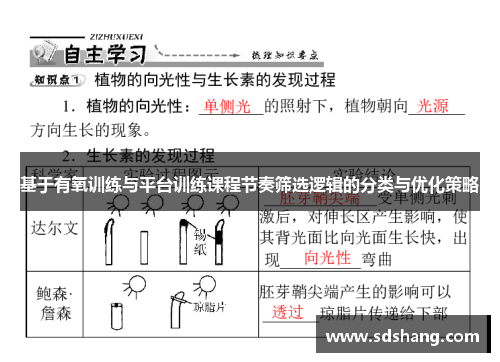 基于有氧训练与平台训练课程节奏筛选逻辑的分类与优化策略