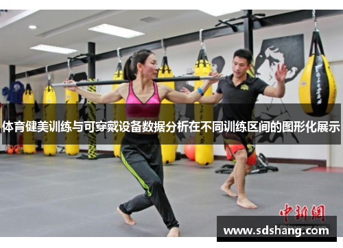 体育健美训练与可穿戴设备数据分析在不同训练区间的图形化展示