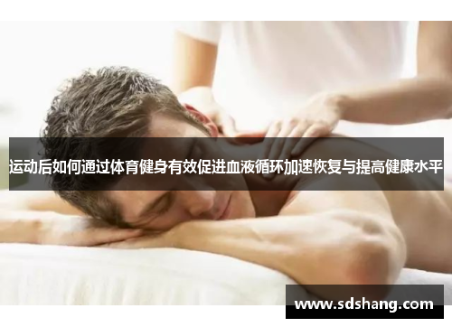 运动后如何通过体育健身有效促进血液循环加速恢复与提高健康水平
