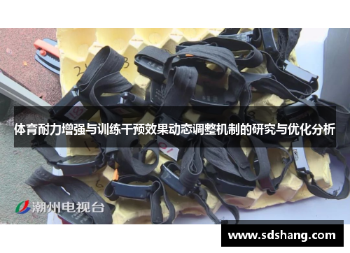 体育耐力增强与训练干预效果动态调整机制的研究与优化分析