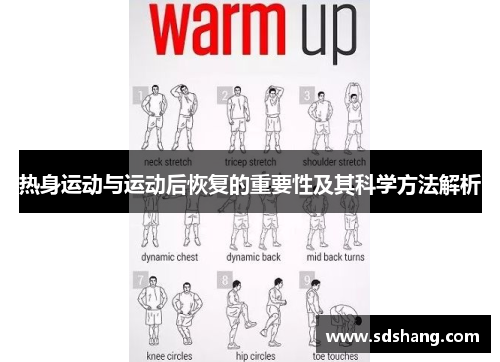 热身运动与运动后恢复的重要性及其科学方法解析